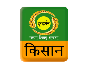 DD KISHAN